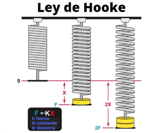 problemas de ley de hooke